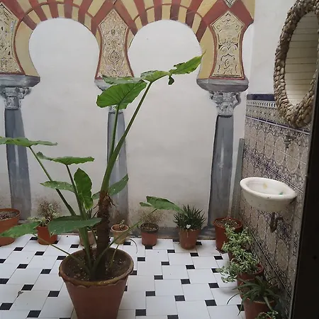 Gran Plaza מלון קורדובה